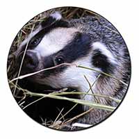 Badger in Straw Fridge Magnet Printed Full Colour