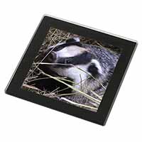 Badger in Straw Black Rim High Quality Glass Coaster