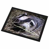 Badger in Straw Black Rim High Quality Glass Placemat