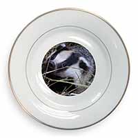 Badger in Straw Gold Rim Plate Printed Full Colour in Gift Box