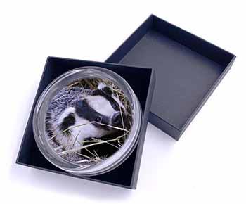 Badger in Straw Glass Paperweight in Gift Box