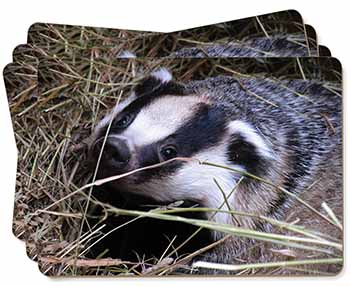 Badger in Straw Picture Placemats in Gift Box
