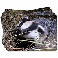 Badger in Straw Picture Placemats in Gift Box