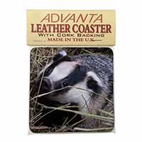 Badger in Straw Single Leather Photo Coaster