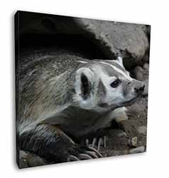 Badger on Watch Square Canvas 12"x12" Wall Art Picture Print