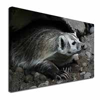 Badger on Watch Canvas X-Large 30"x20" Wall Art Print