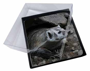 4x Badger on Watch Picture Table Coasters Set in Gift Box