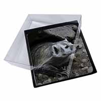 4x Badger on Watch Picture Table Coasters Set in Gift Box