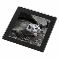 Badger on Watch Black Rim High Quality Glass Coaster