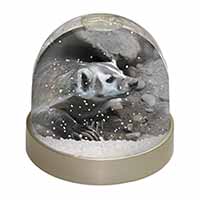 Badger on Watch Snow Globe Photo Waterball