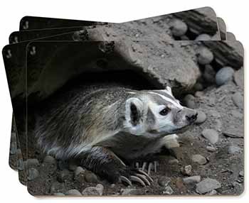 Badger on Watch Picture Placemats in Gift Box