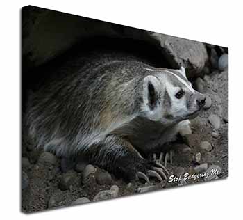 Badger-Stop Badgering Me! Canvas X-Large 30"x20" Wall Art Print