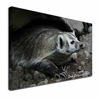Badger-Stop Badgering Me! Canvas X-Large 30"x20" Wall Art Print