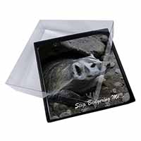 4x Badger-Stop Badgering Me! Picture Table Coasters Set in Gift Box