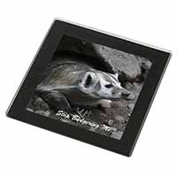 Badger-Stop Badgering Me! Black Rim High Quality Glass Coaster