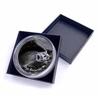 Badger-Stop Badgering Me! Glass Paperweight in Gift Box
