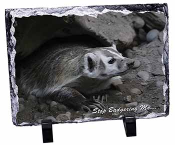 Badger-Stop Badgering Me!, Stunning Photo Slate
