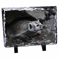 Badger-Stop Badgering Me!, Stunning Photo Slate