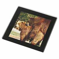 Grizzly Bears in Love Black Rim High Quality Glass Coaster