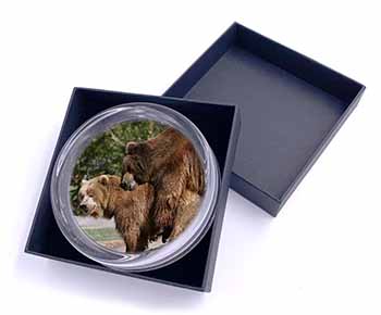 Grizzly Bears in Love Glass Paperweight in Gift Box