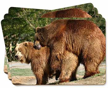 Grizzly Bears in Love Picture Placemats in Gift Box