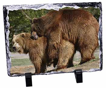 Grizzly Bears in Love, Stunning Photo Slate