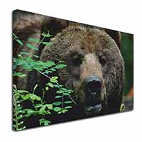 Beautiful Brown Bear Canvas X-Large 30"x20" Wall Art Print