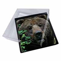 4x Beautiful Brown Bear Picture Table Coasters Set in Gift Box - Advanta Group®