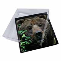 4x Beautiful Brown Bear Picture Table Coasters Set in Gift Box