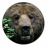 Beautiful Brown Bear Fridge Magnet Printed Full Colour