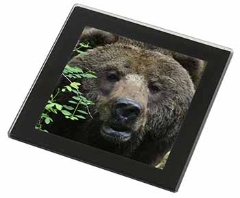 Beautiful Brown Bear Black Rim High Quality Glass Coaster