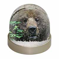Beautiful Brown Bear Snow Globe Photo Waterball