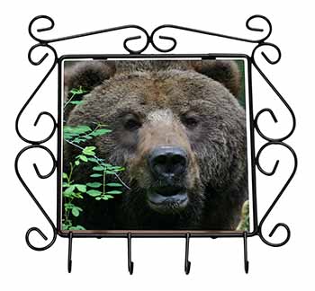 Beautiful Brown Bear Wrought Iron Key Holder Hooks