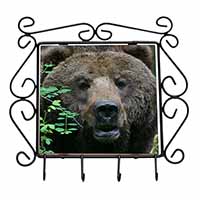 Beautiful Brown Bear Wrought Iron Key Holder Hooks