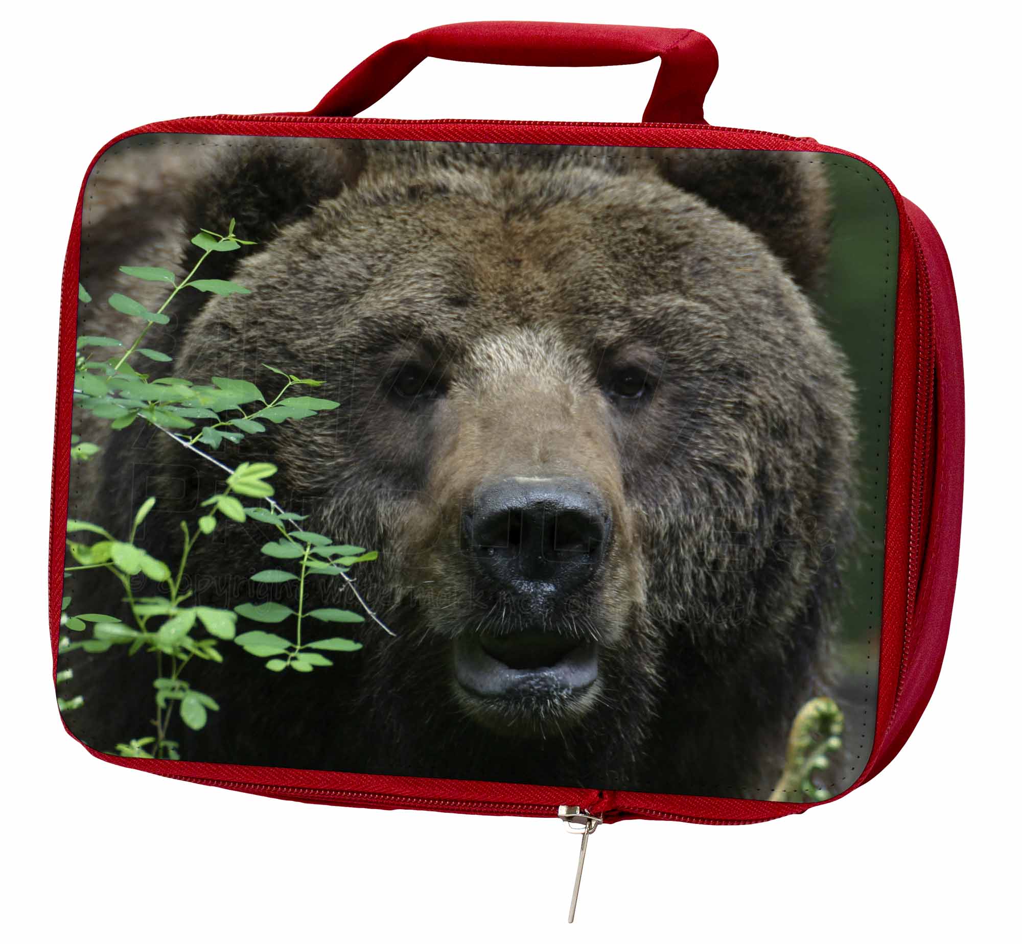 Beautiful Brown Bear Insulated Red School Lunch Box/Picnic Bag, ABE-2LBR Beautiful Brown Bear Insulated Lunch Red School Lunch Insulated Box/Picnic Bag, ABE-2LBR b17fff