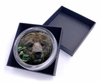 Beautiful Brown Bear Glass Paperweight in Gift Box