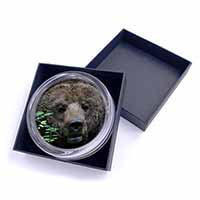 Beautiful Brown Bear Glass Paperweight in Gift Box