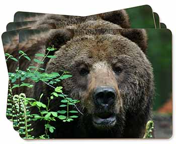 Beautiful Brown Bear Picture Placemats in Gift Box