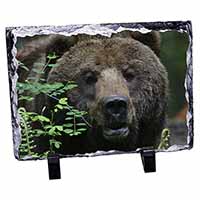 Beautiful Brown Bear, Stunning Animal Photo Slate