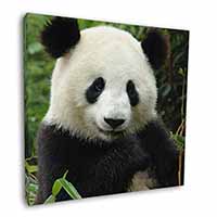 Beautiful Panda Bear Square Canvas 12"x12" Wall Art Picture Print