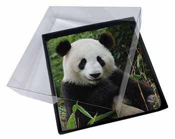 4x Beautiful Panda Bear Picture Table Coasters Set in Gift Box