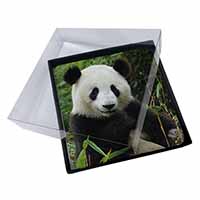 4x Beautiful Panda Bear Picture Table Coasters Set in Gift Box - Advanta Group®