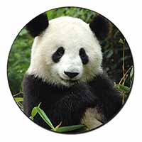 Beautiful Panda Bear Fridge Magnet Printed Full Colour