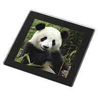 Beautiful Panda Bear Black Rim High Quality Glass Coaster