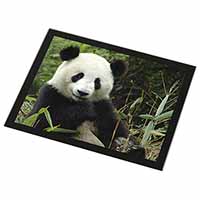 Beautiful Panda Bear Black Rim High Quality Glass Placemat