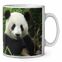 Beautiful Panda Bear Ceramic 10oz Coffee Mug/Tea Cup Printed Full Colour - Advan