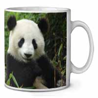 Beautiful Panda Bear Ceramic 10oz Coffee Mug/Tea Cup