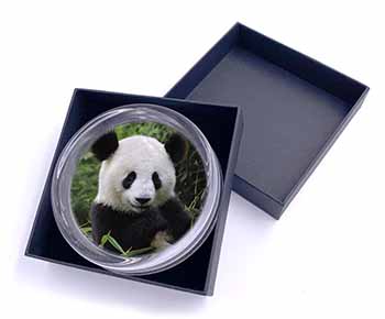 Beautiful Panda Bear Glass Paperweight in Gift Box