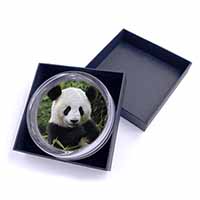 Beautiful Panda Bear Glass Paperweight in Gift Box