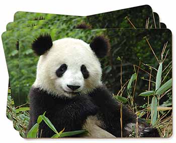 Beautiful Panda Bear Picture Placemats in Gift Box